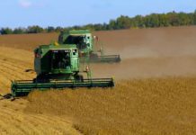 Can China’s Rural Land Reform Bring about Rural Revitalization?, 29 April 2018