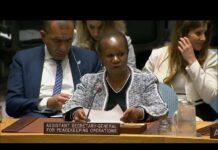Peace and Security in Sahel – UN Security Council, 24 May 2018