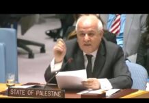 Emergency UN Security Council Meeting on Gaza, 15 May 2018