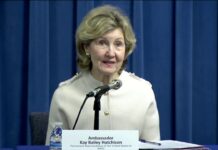 Outlook for the Brussels NATO Summit, 5 June 2018