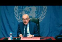 UN Special Representative for Libya Warns of “economic collapse» in the Region, 16 July 2018