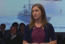 NATO Engages: (In)Stability in NATO’s Neighborhood with Lt. Gen. Hodges,13 July 2018