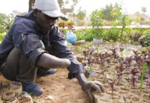 Seeking Justice in the Face of Terrorism in Mali, 29 June 2018