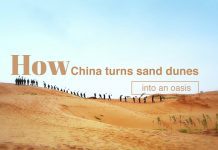 How China Turns Sand Dunes into an Oasis, 24 July 2018
