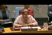 Understanding and Addressing Climate-Related Security Risks – Amina J. Mohammed, 11 July 2018