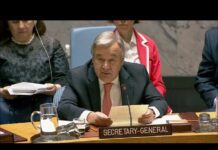 UN Chief on the Situation in the Middle East and North Africa, 25 June 2018
