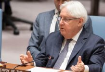 UN Special Envoy for Yemen briefs UN Security Council, 2 August 2018