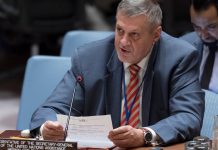 UN Special Representative for Iraq Briefs UN Security Council, 8 August 2018