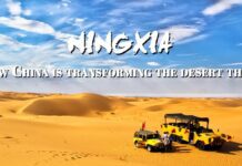 How China Transformed its Desert into a Fruit Growing Oasis, 26 September 2018