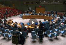 Threats to International Peace and Security Caused by Terrorist Acts – Security Council (8437th meeting) 21 December 2018