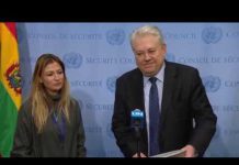 Ukraine on the Situation in the Ukraine – Security Council Stakeout, 30 October 2018