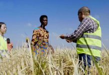 China-Africa Cooperation for Poverty Alleviation, 24 November 2018