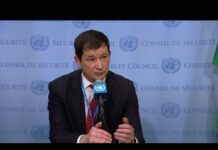Russia on the Situation in Ukraine – Security Council Media Stakeout (26 November 2018)