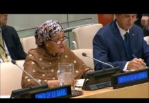 Sustaining Peace in the Sahel region – UN Deputy Secretary-General, 12 November 2018