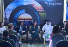Energy Sector Diversification, Meeting Demographic Challenges in the MENA Region, 16 January 2020