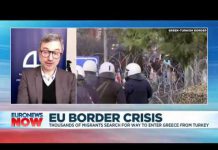 EU Border Crisis: Interview with Ifri Research Fellow Matthieu Tardis, 3 March 2020