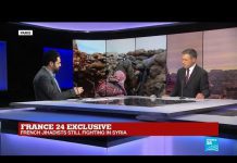 French Jihadists are Active in Battle of Idlib in Syria, 28 February 2020