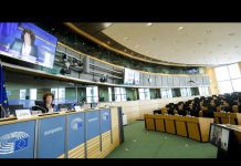 How European Democracy Works in Times of Pandemic 17 April 2020