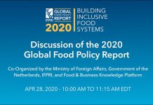 Discussion of the 2020 Global Food Policy Report, 28 April 2020
