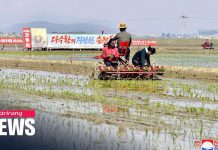 N. Korea’s Food Crisis likely to Worsen as COVID-19 Limits Food Imports, 21 May 2020