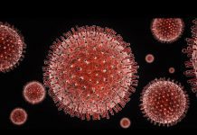 China Rejects Daily Telegraph’s Report that Virus Came from Wuhan Lab, 7 May 2020