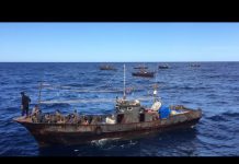 Investigating How North Korean Fishermen Plunder Foreign Waters, 8 May 2020