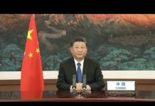 Xi Delivers Speech at Opening Ceremony of WHA Session, 18 May 2020