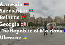 EU & Eastern Partnership Foreign Affairs Ministers Hold Video Conference, 11 June 2020