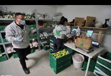 Building Better, More Resilient Food Systems, 24 June 2020