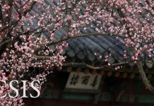 Latest Developments on Korea, 2 July 2020