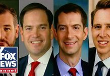 China Sanctions 5 GOP Senators in Retaliation to US Sanctions, 10 August 2020