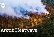 Siberia Records All Time Temperature High for the Arctic Circle, 17 August 2020