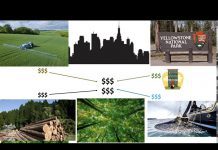 Latin America’s Role in Global Conservation Efforts, 5 August 2020