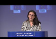 EU Welcomes Israel-UAE Relations Deal as Good for Regional Stability, 15 August 2020