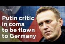 Alexei Navalny’s Doctors Allow Putin Critic to Fly to Germany after Suspected Poisoning, 21 August 2020