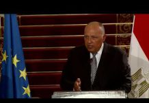 Egypt’s Foreign Minister Urges Greater Push in Libya Peace Process, 3 September 2020