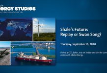 Shale’s Future: Replay or Swan Song?11 September 2020