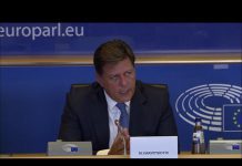 EU Debates Turkish Provocation at the Committee on Foreign Affairs in Brussels,11 September 2020