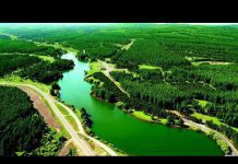 China Hits 8 Environmental and Ecological Targets Set in 13th Five-Year Plan, 21 October 2020
