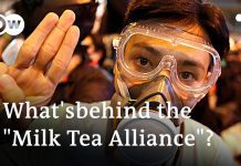 «Milk Tea Alliance»: How Thai Protesters Have Learned from Hong Kongers, 22 October 2020