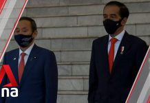 Indonesia and Japan Agree to Form Travel Corridor for Essential Business Trips, 20 October 2020