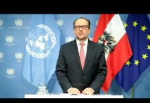 Austria – Federal Minister Addresses General Debate, 75th Session