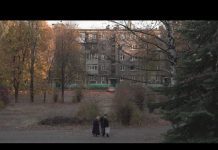 Ceasefire in Ukraine’s Donbas Region: Peace or Frozen Conflict?23 October 2020