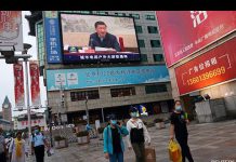 China Goes Green, 13 November 2020