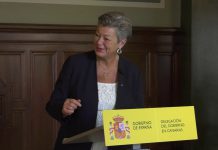 Ylva Johansson Proposes EU Aid to Canary Islands as They Face Increased Migration Arrivals, 10 November 2020
