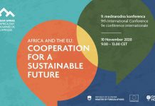 Africa and the EU: Cooperation for a Sustainable Future, 10 November 2020