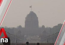 New Delhi Hit by Smog and Surge in Coronavirus Cases, 24 November 2020