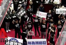 Taiwanese Lawmakers Throw Pig Guts in Parliament over US Meat Imports, 27 November 2020