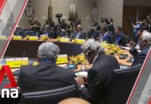 APEC Summit: Asia-Pacific Trade Ministers Meet Virtually as Day One of Talks Begins, 17 November 2020