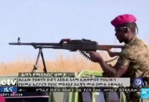 Who Are the Forces Involved in Ethiopia’s Tigray Conflict? 19 November 2020